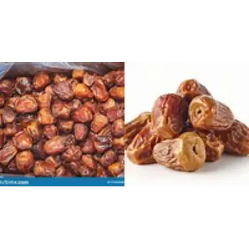 Natural Sukkari Dates